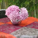 بيت ضيافة Sea Breeze بولا